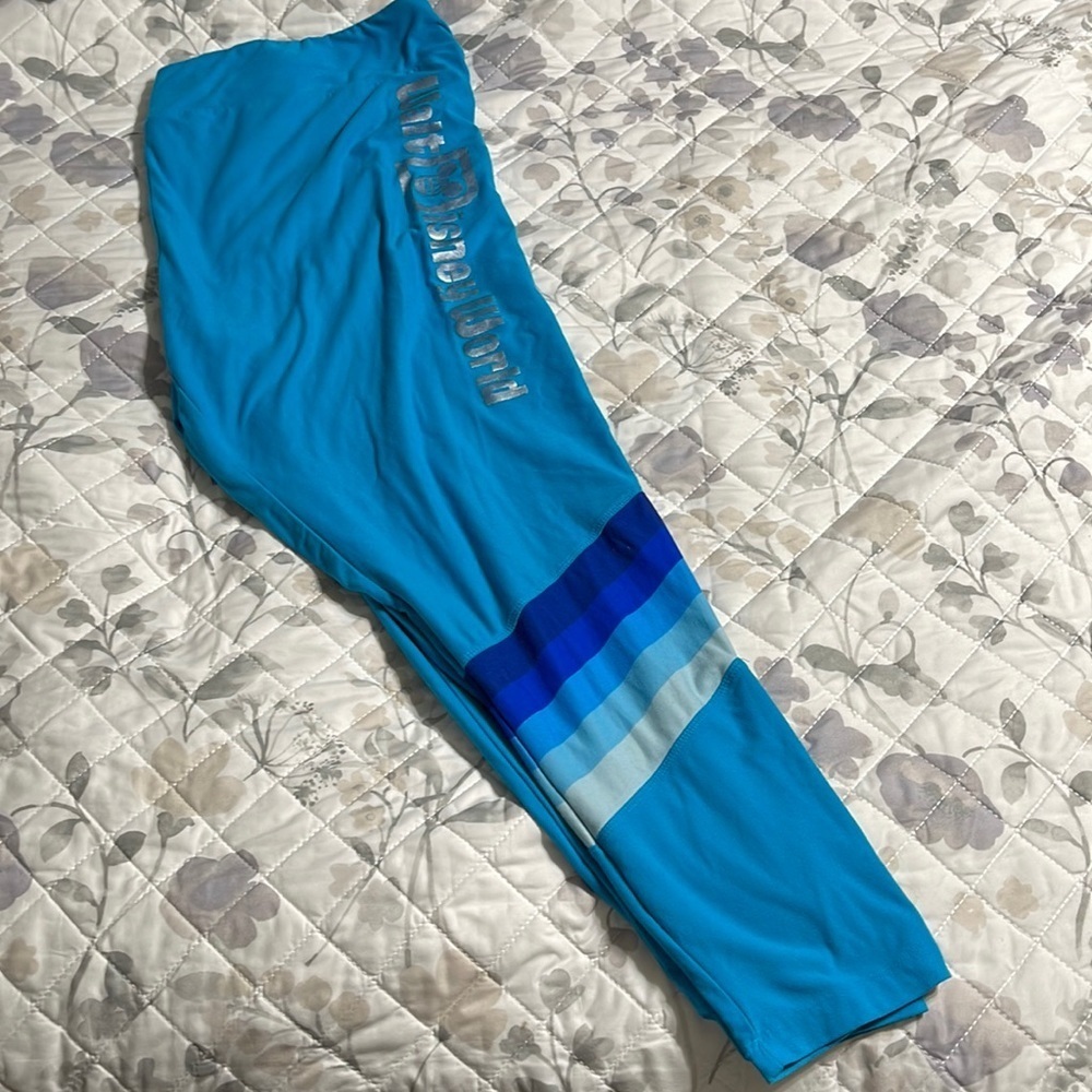 ** Walt DisneyWorld leggings 2X